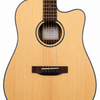 Elyra — Electro-Acoustic Studio Guitar 