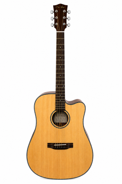 Elyra — Guitare Électro-Acoustique Studio