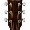 Elyra — Electro-Acoustic Studio Guitar 